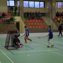 igdzuni 17